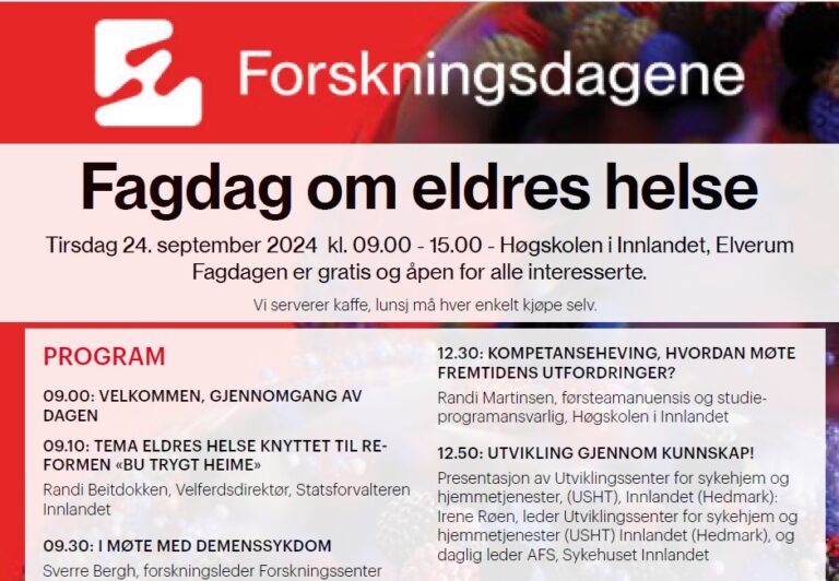 Bilde av program for fagdagen